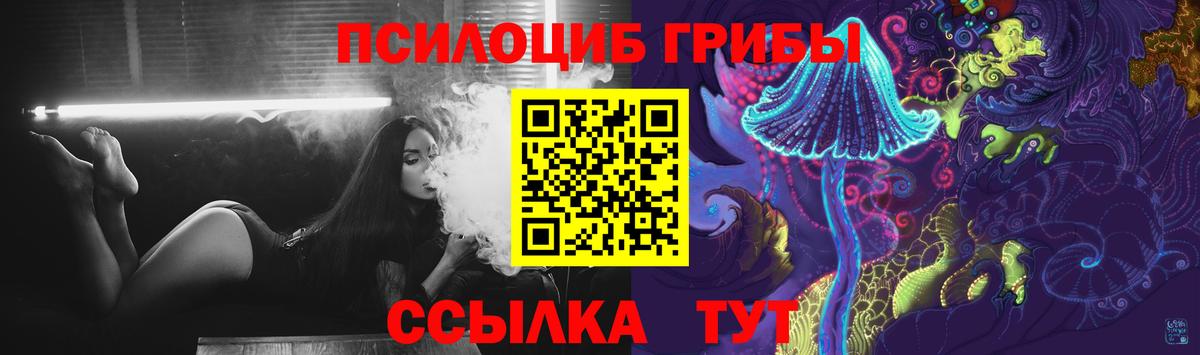 Псилоцибиновые грибы MAGIC MUSHROOMS Коммунар